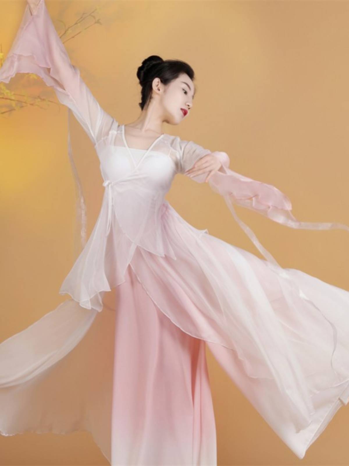 Classical dance clothing female elegant Chinese style yarn jacket practice ancient style performance service Liuti 2024 new adult