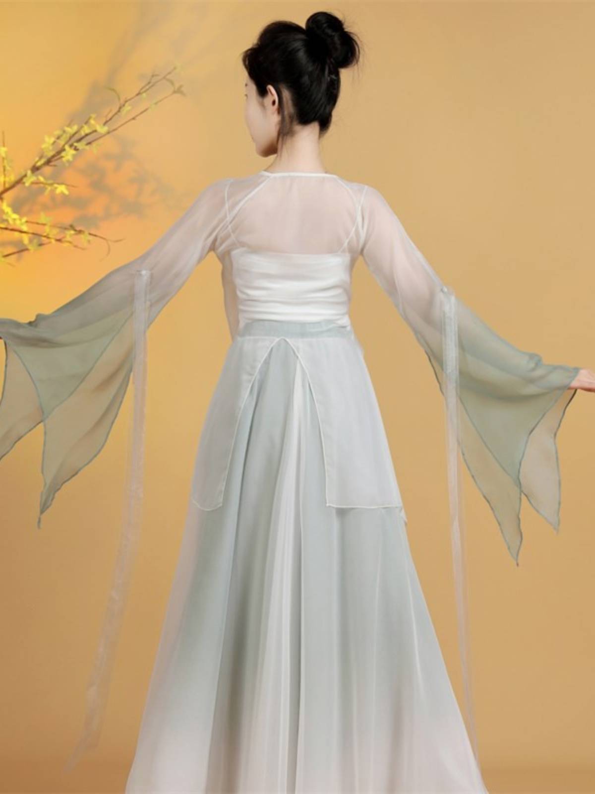 Classical dance clothing female elegant Chinese style yarn jacket practice ancient style performance service Liuti 2024 new adult