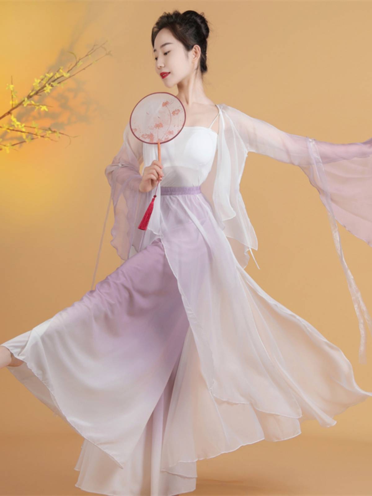 Classical dance clothing female elegant Chinese style yarn jacket practice ancient style performance service Liuti 2024 new adult