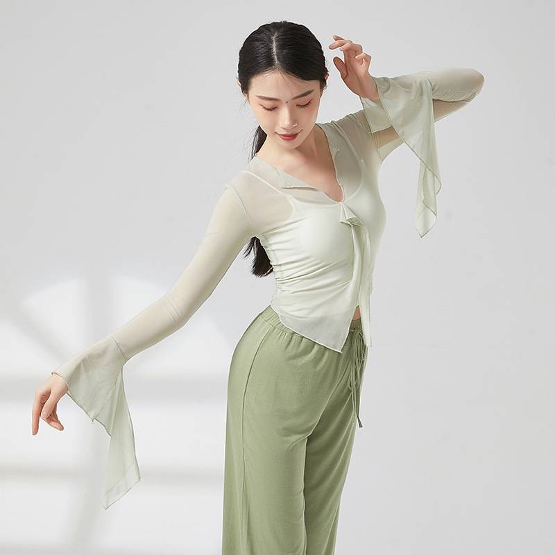 Classical dance clothing ancient style, rhyme yae nets, gap, penetrated training, modern dance national art test top