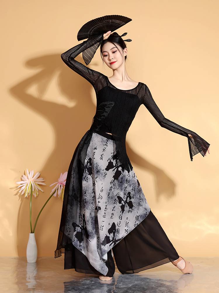 Classical Dance Girl New Chinese Ink Painting Country Style Charm Chinese Dance Art Test Dance Performance Service Disciples Spring and Summer Fund
