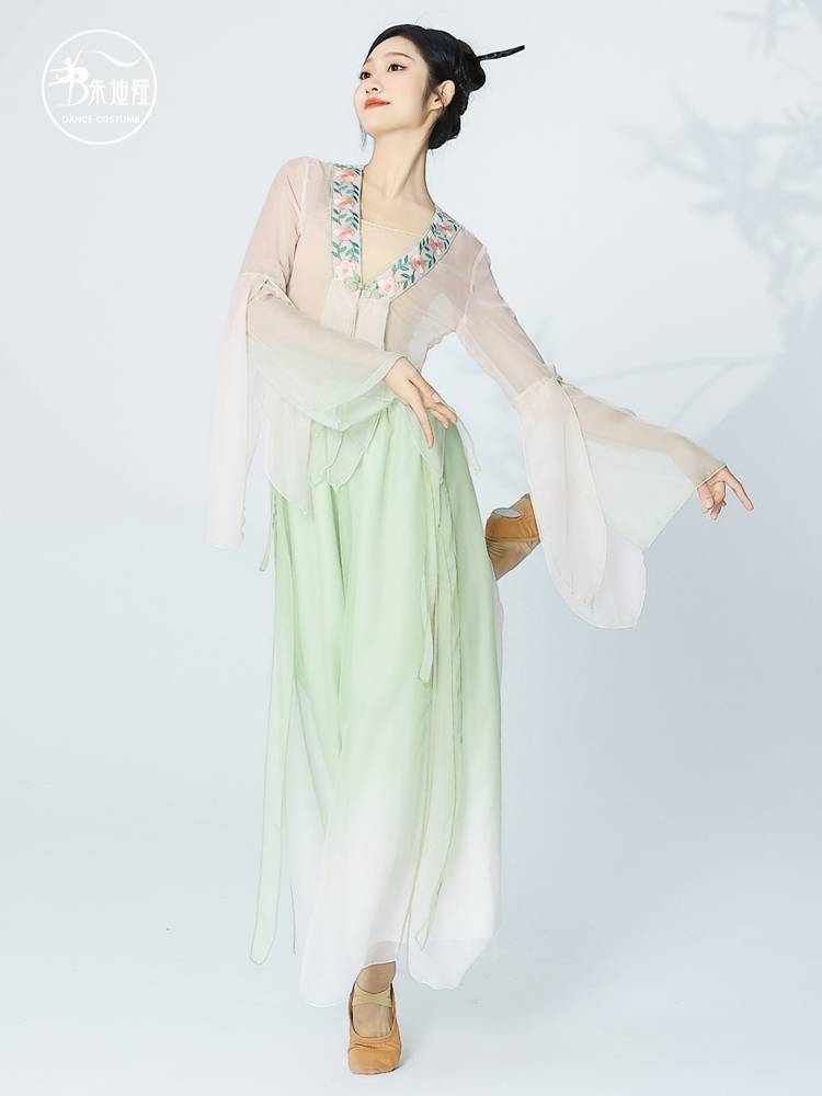 Classical dance clothing Gravity gauze girl elegant top, practice clothes, spring chanting Han, Tang Xiangka adult performance clothing