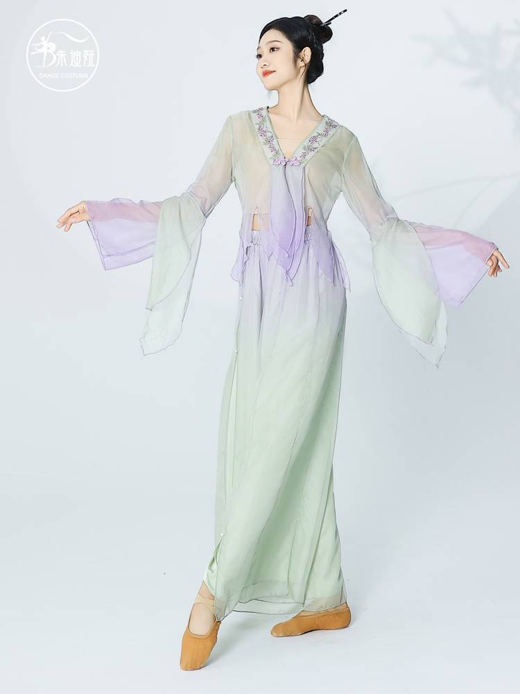 Classical dance clothing Gravity gauze girl elegant top, practice clothes, spring chanting Han, Tang Xiangka adult performance clothing