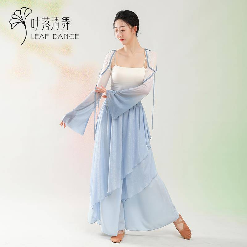 Ye Luo Qing Dance Classical Dance Gradestes in the four seasons can wear Chinese dance daily vest female practice service base training bands