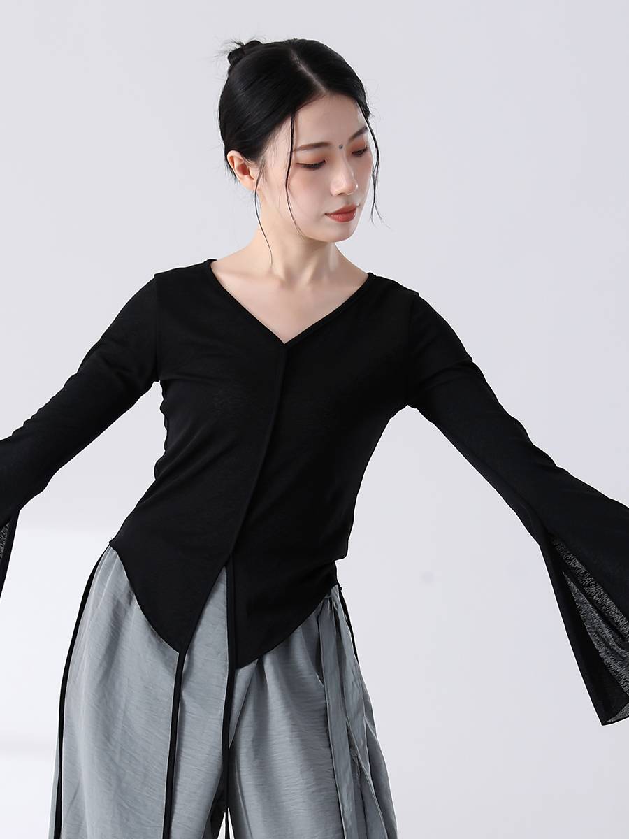 Dance service 2024 new practice service female dance top modern dance classical dance adult Chinese dance autumn and winter set