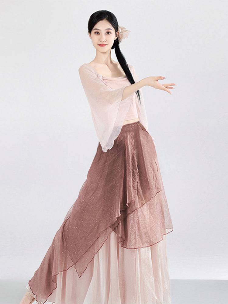 Classical Dance Costume Chinese Dance Performance Dance Dance Dance Clothing Clothing Dressing Skirt Loose Guofeng Skirt Summer