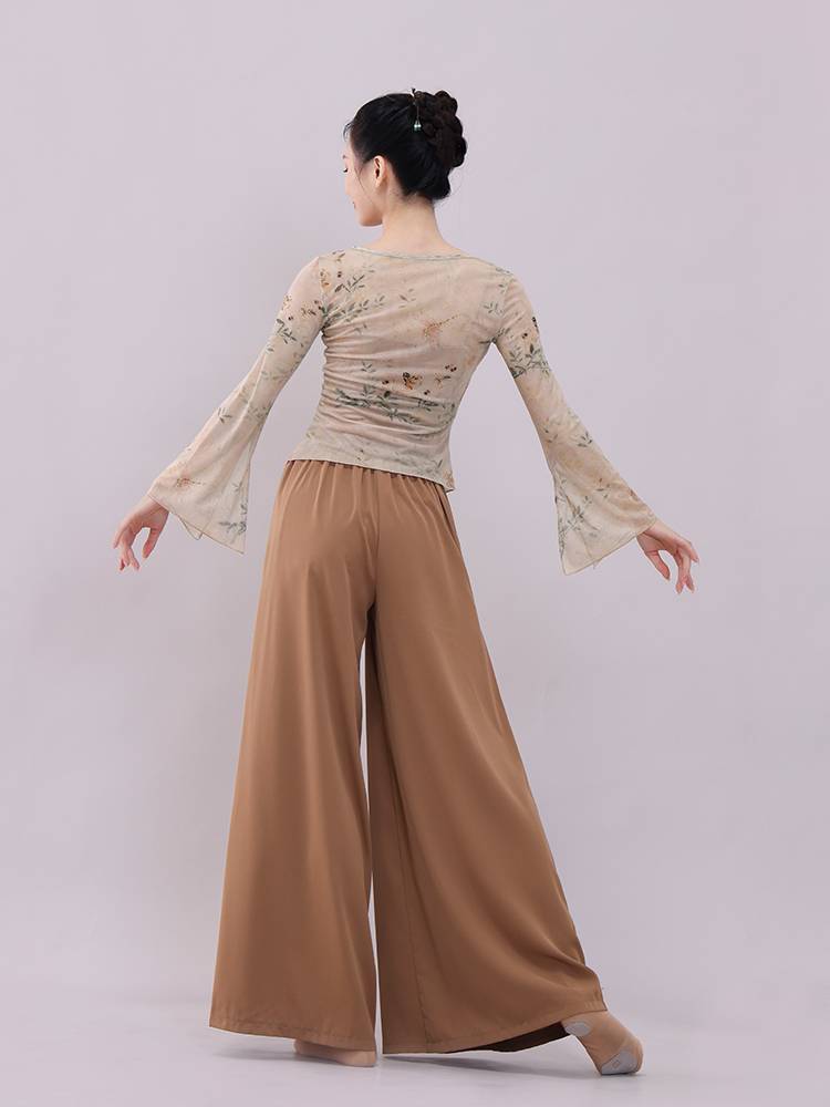 Xuan Palace Classical Dance Clothing Chinese Printing Fun Sleeve Wrap Cheongsam Top Chinese Style Performance Dress Practice Delivery