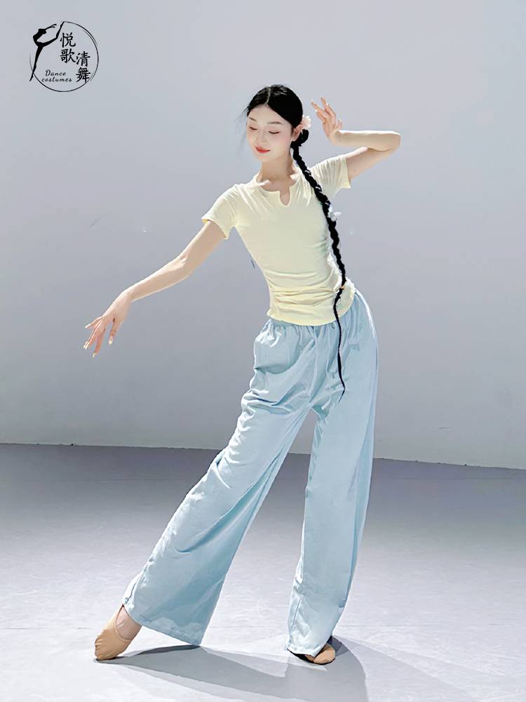 Modern dance clothes Classical dance top dance -level dance clothing shape training clothing female Chinese dance exercise skills summer