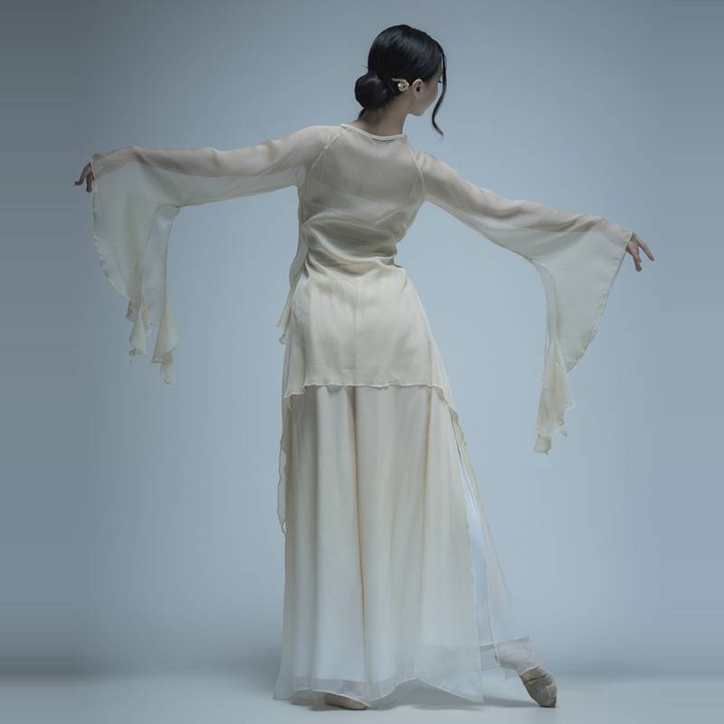 The new classical dance gauze clothes on the body rhyme, leaning, wide -leg pants, elegant female Chinese dance clothing performance clothing