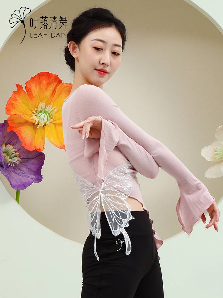 Ye Luoqing Dance Classical Dance Butterfly Shadow White Top Spring and Summer New Lace Butterfly Slim Sleeve Practice Services