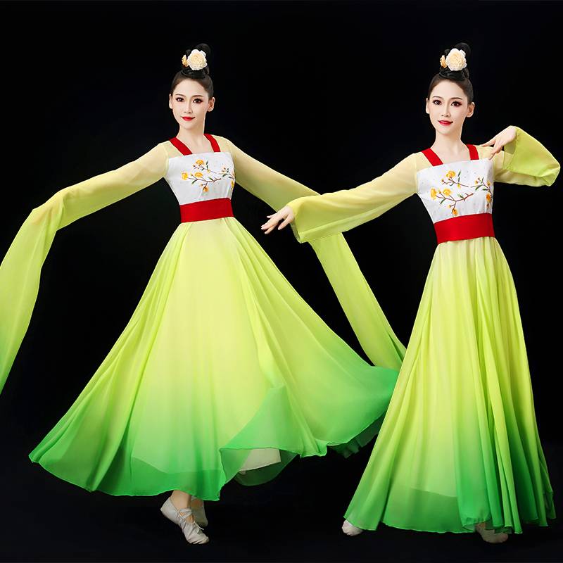 Classical Dance Water Sleeve Performance Server Gine Women's Chinese Dance Performance Dance Dance Dance Dance Fun Lead Pants