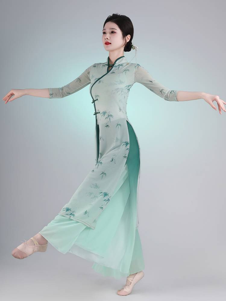Classical dance cheongsam dance 2024 new body rhyme yae -coat practice service adult female dance suit performance suit