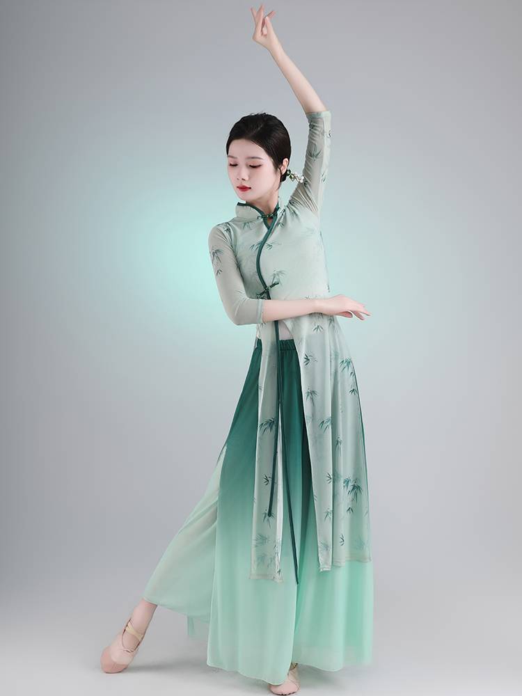 Classical dance cheongsam dance 2024 new body rhyme yae -coat practice service adult female dance suit performance suit