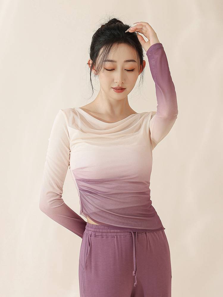 Pure Ruoji Classical Dance Clothing Charm Rhymes Printing Gine Dress Modern Dance Practice Training Top