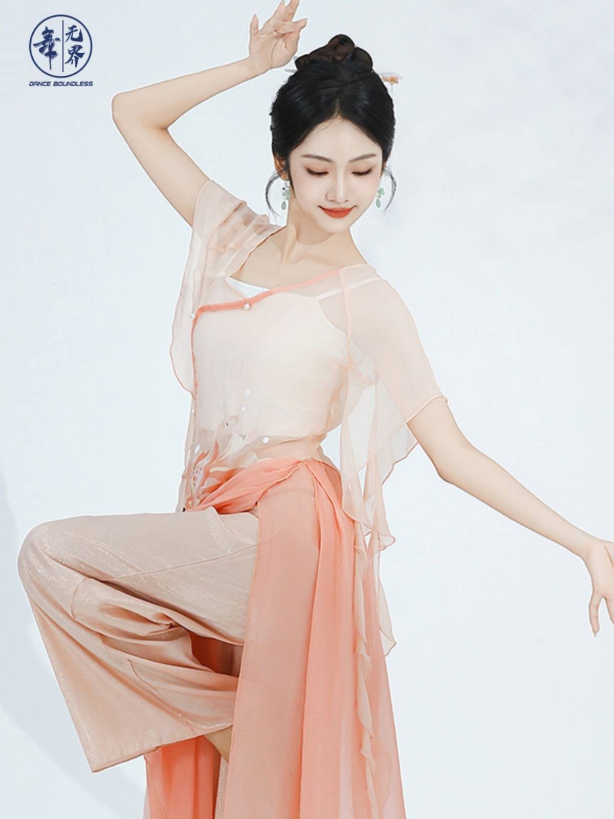 Dance without boundary summer new classical dance exercise uniforms elegant female Chinese dance koi carp fairy gauze ancient style performance