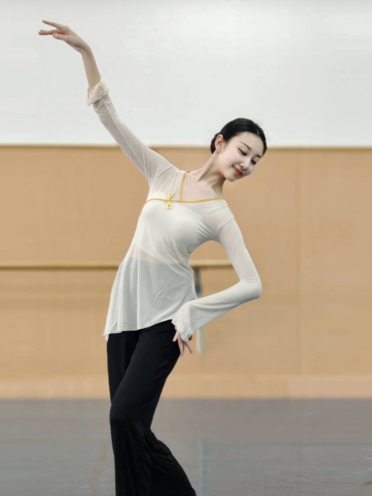 Classical dance long -sleeved top Chinese dance gauze dance service national dance exercise skills suit suit performance performance performance
