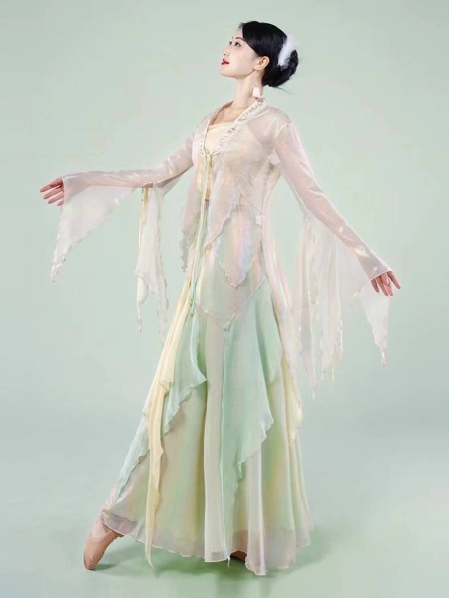 Classical dance clothing female elegant body rhyme yae training exercise big skirt Chinese dance Chinese dance Chinese dance performance suit suits