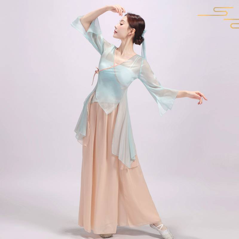 Classical dance clothing practice female classical dance clothing dance dance dance gauze training exercise ancient style to dress national performance clothing