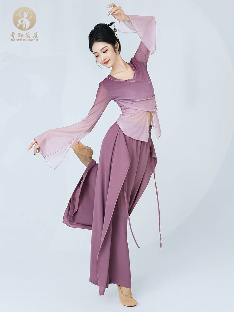 Dance of the country's summer classical dance clothing gradient gauze dance dance dance service female elegant practice service Chinese dance performance service
