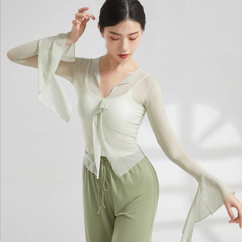 Spot Classical Dance Dance Dance Funny Female Adult Chinese Dance D Clothing Body Rhythm Foundation Dance