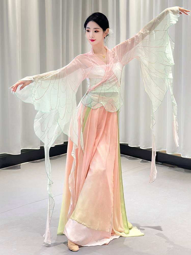 Classical Dance Performance Female Graduate Graduate Rhymes and Butterfly Dance Series Chinese Dance Elegant Nets Gine Art Examination Service