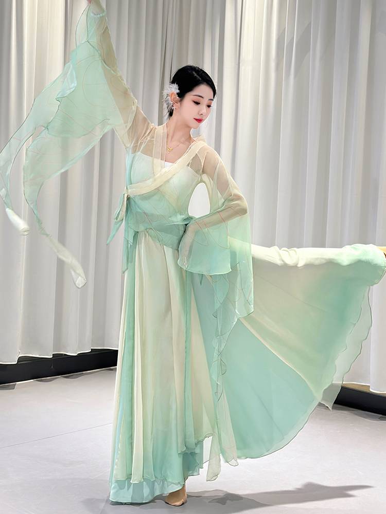 Classical Dance Performance Female Graduate Graduate Rhymes and Butterfly Dance Series Chinese Dance Elegant Nets Gine Art Examination Service