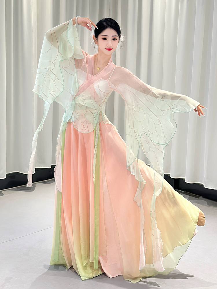 Classical Dance Performance Female Graduate Graduate Rhymes and Butterfly Dance Series Chinese Dance Elegant Nets Gine Art Examination Service