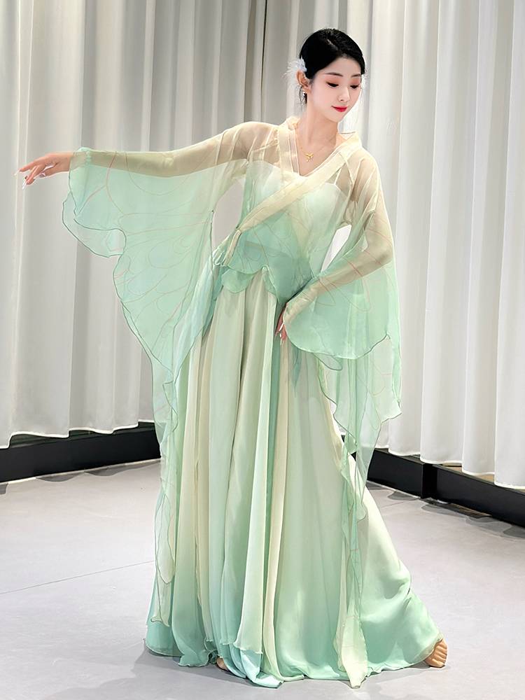 Classical Dance Performance Female Graduate Graduate Rhymes and Butterfly Dance Series Chinese Dance Elegant Nets Gine Art Examination Service