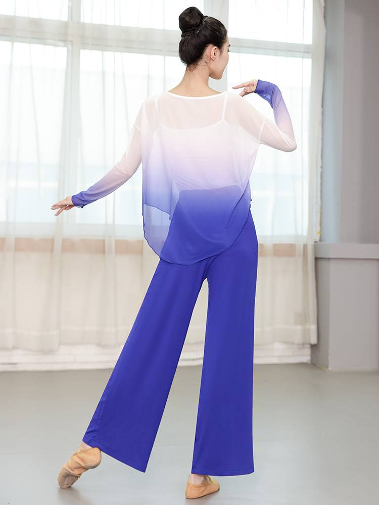 New classical dance clothing female elegant top, practicing Chinese style modern dance loose net yarn long -sleeved suit