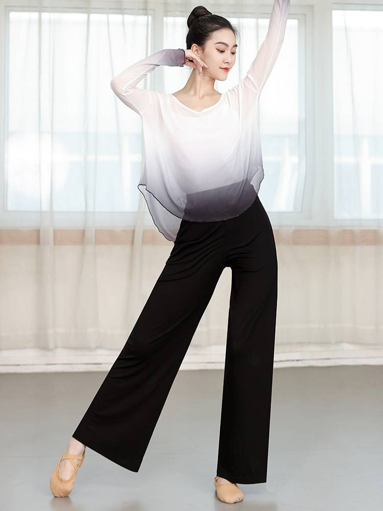 New classical dance clothing female elegant top, practicing Chinese style modern dance loose net yarn long -sleeved suit
