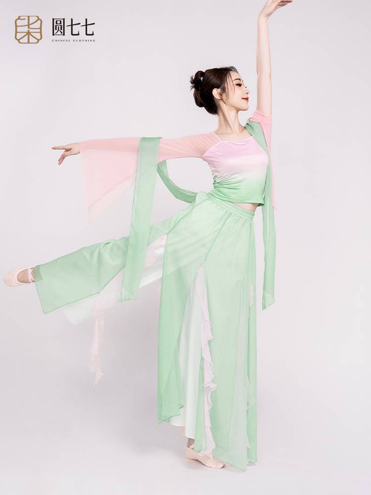 Classical dance gauze Chinese dance clothing with elegant body and rhyme clothing adult national dance exercises