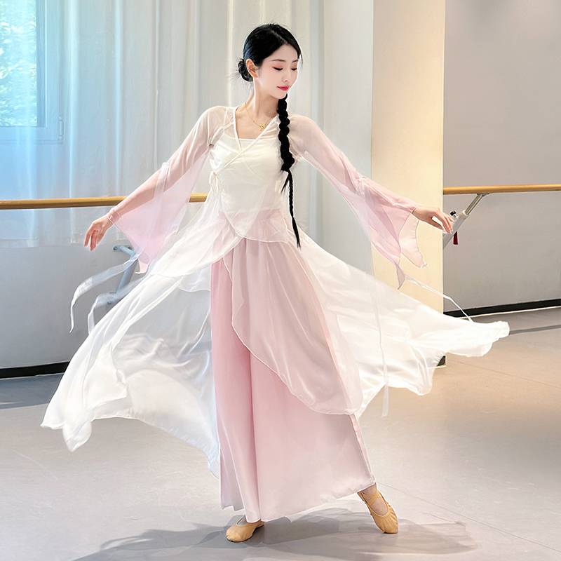 Classical dance clothing female elegant clothing body rhyme, gathers dresses, Chinese dance big skirt practice service performance service