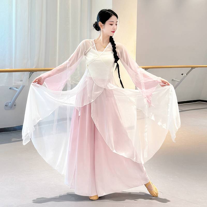 Classical dance clothing female elegant clothing body rhyme, gathers dresses, Chinese dance big skirt practice service performance service