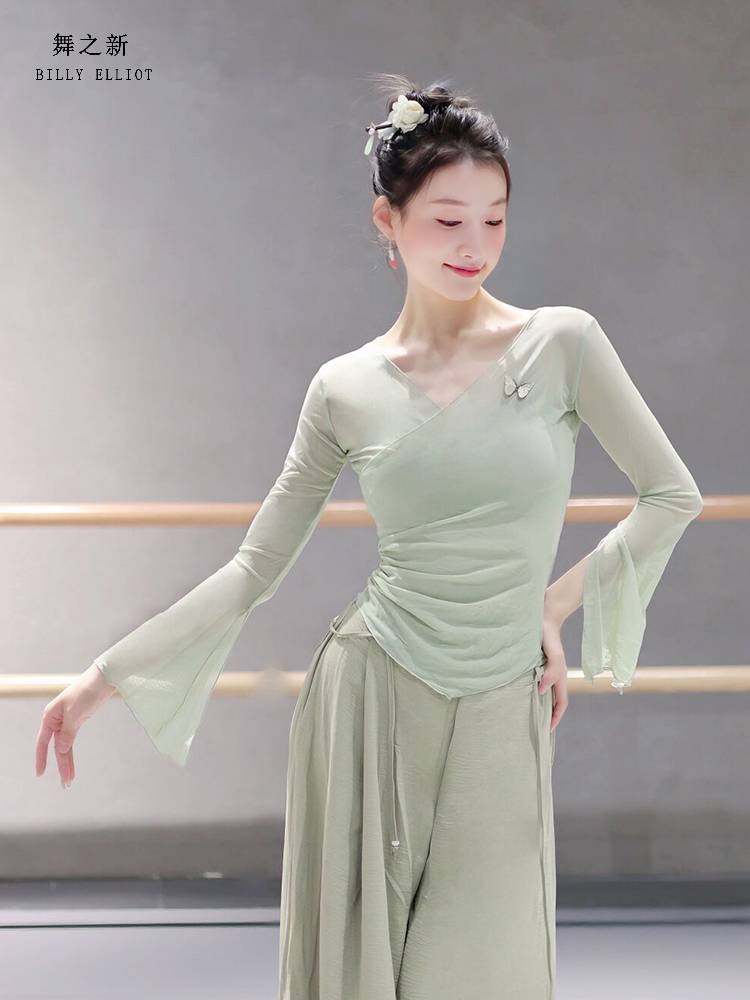 Classical dance gauze performance clothing elegant body Chinese dance exercise adult 2024 new dance top female model