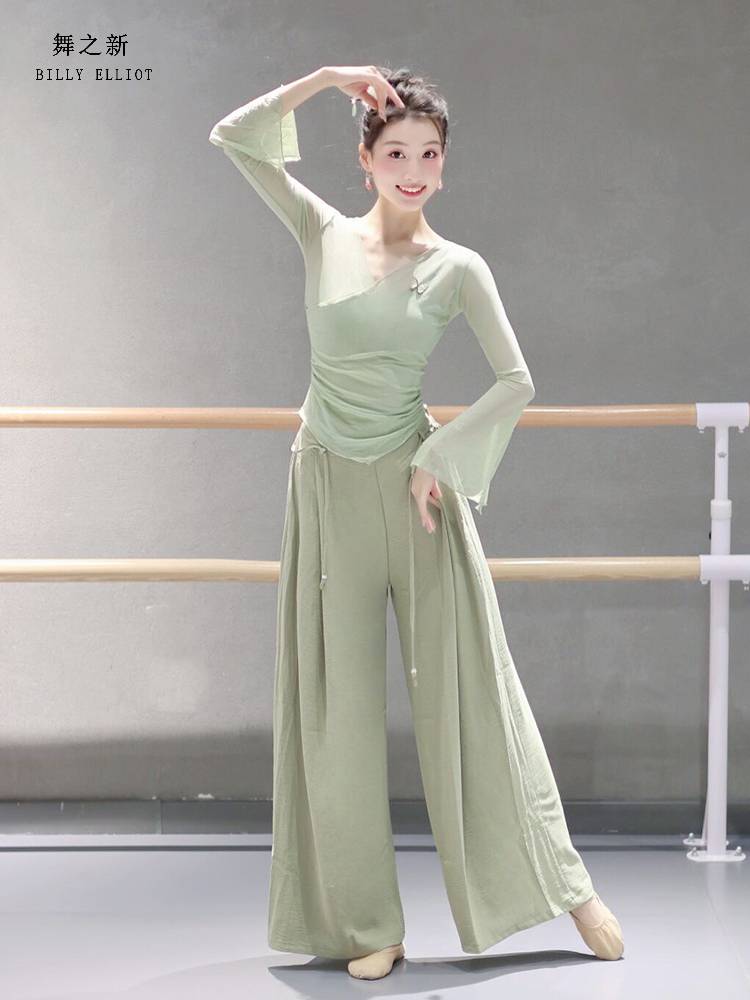 Classical dance gauze performance clothing elegant body Chinese dance exercise adult 2024 new dance top female model