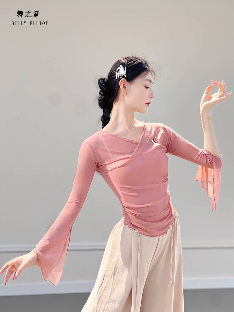 Classical dance gauze performance clothing elegant body Chinese dance exercise adult 2024 new dance top female model