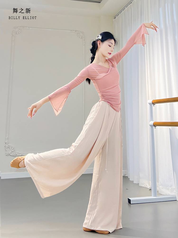 Classical dance gauze performance clothing elegant body Chinese dance exercise adult 2024 new dance top female model
