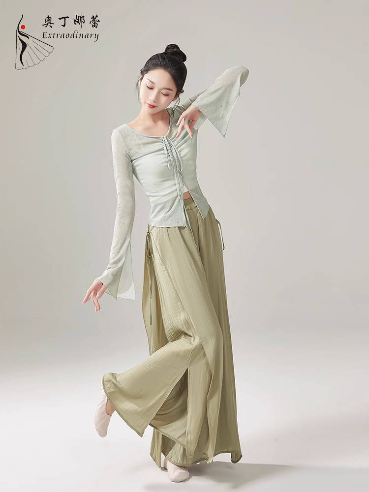 Classical dance clothing fairy girl elegant long sleeve yarn modern dance clothing practice clothes suit suit jacket top