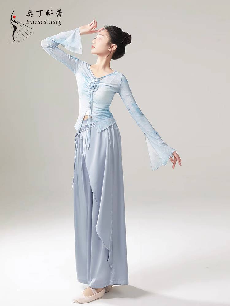 Classical dance clothing fairy girl elegant long sleeve yarn modern dance clothing practice clothes suit suit jacket top