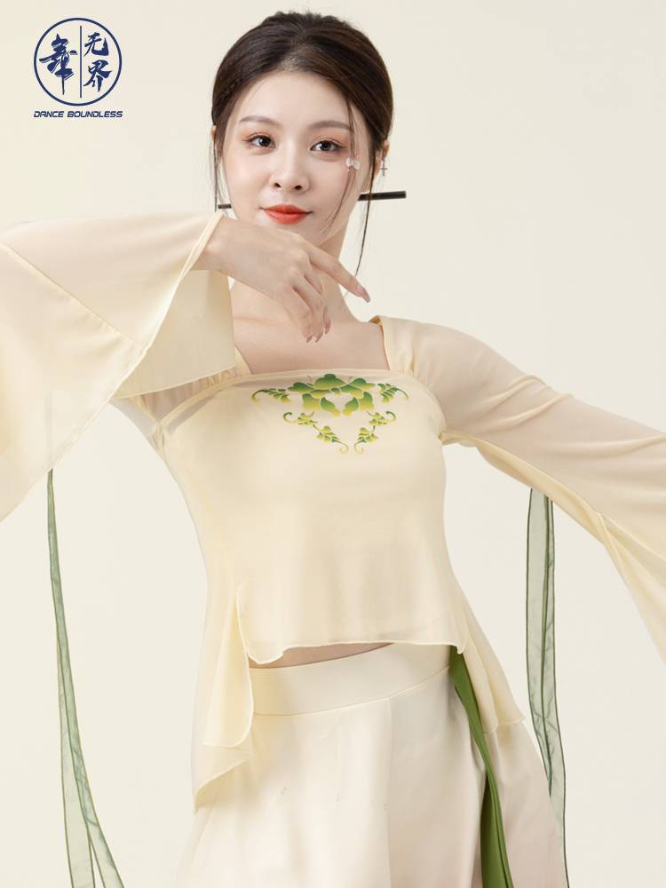 Chinese dance classical dance immortal training service women's top student training service butterfly gauze performance dance service