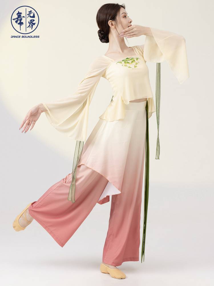 Chinese dance classical dance immortal training service women's top student training service butterfly gauze performance dance service