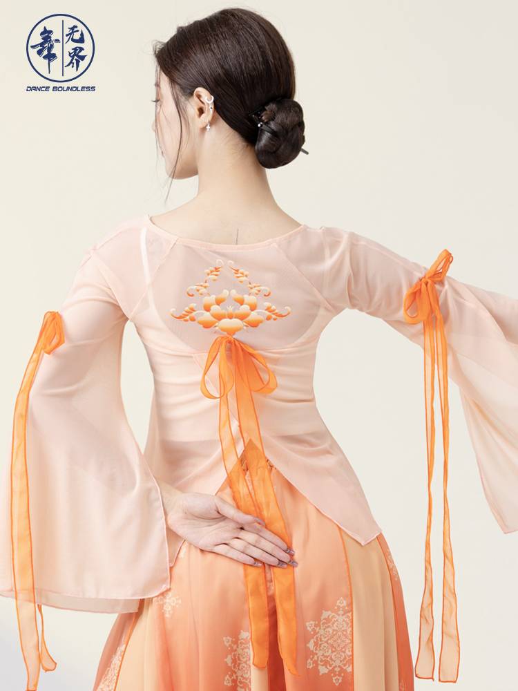 Chinese dance classical dance immortal training service women's top student training service butterfly gauze performance dance service