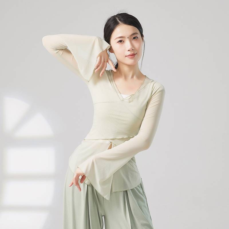 Classical dance dance clothing body rhyme yae Chinese national dance exercise skills clothing art test top