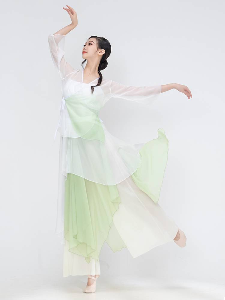 Classical dancing female elegant set Chinese dance gradient ancient style gauze coat practice service national style performance service dance clothing
