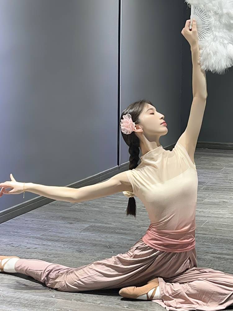 Modern dance clothing summer gradient short -sleeved top art test classical dance exercise body training gauze girl