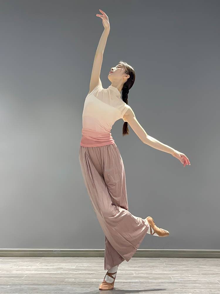 Modern dance clothing summer gradient short -sleeved top art test classical dance exercise body training gauze girl