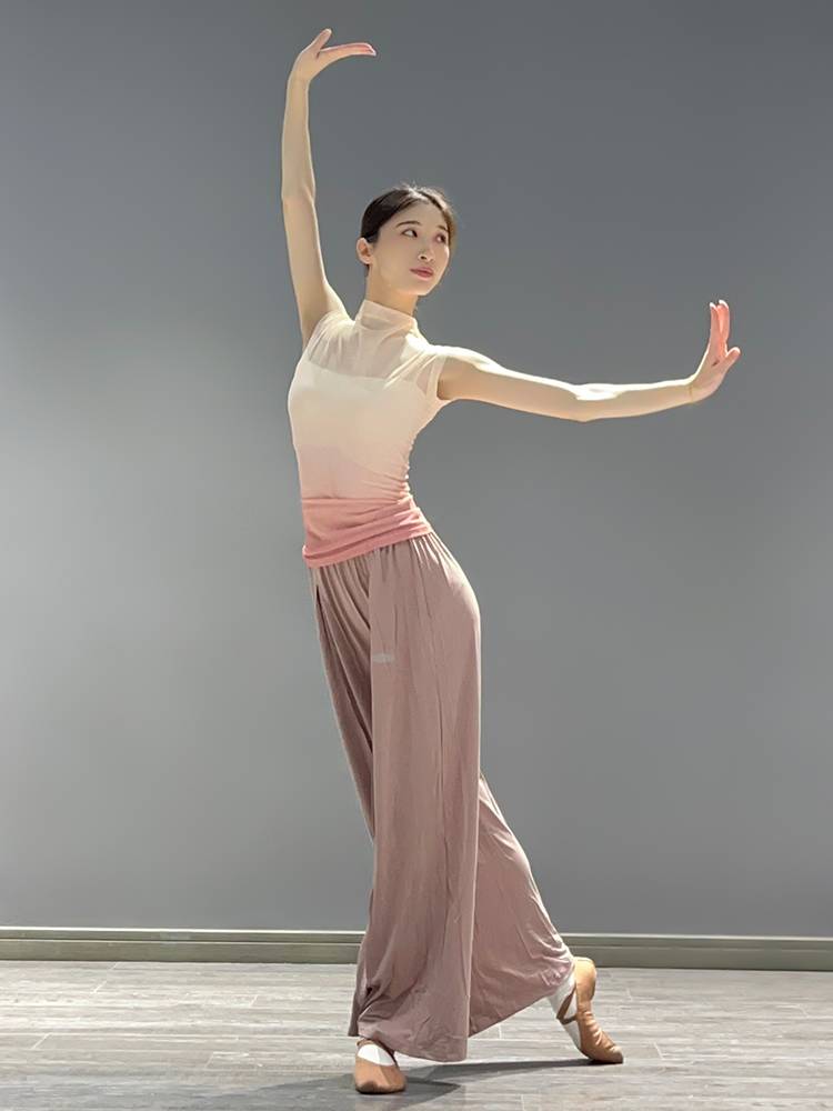 Modern dance clothing summer gradient short -sleeved top art test classical dance exercise body training gauze girl