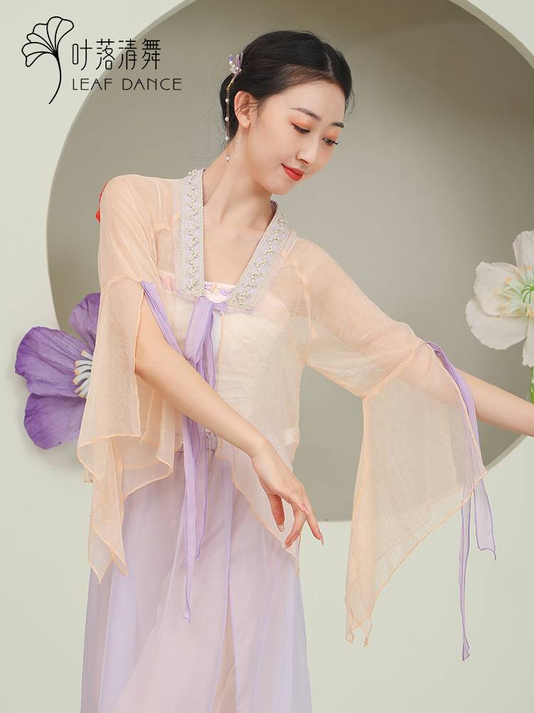 Ye Luo Qing dance classical dance elegant ancient style gauze pearl pearl contrasting cardigan slim body rhyme Chinese dance clothing