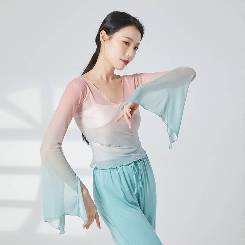 Classical dance exercises, dresses, rhyme gauze Chinese dance dance clothing women's elegant top body performance service