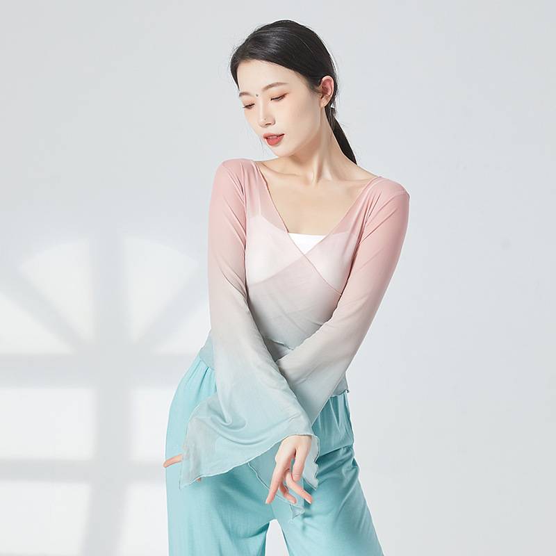 Classical dance exercises, dresses, rhyme gauze Chinese dance dance clothing women's elegant top body performance service